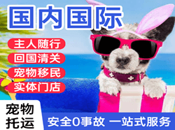 青山机场托运国际宠物托运 【国